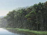 tomas_sanchez_-_a_la_orilla__1996