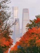 autumn