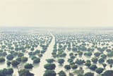 tomas_sanchez_-_inundacion_02__1982