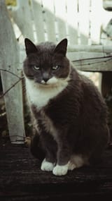 DSC05226