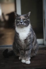 DSC06998