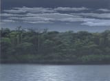 tomas_sanchez_-_retorno_a_la_orilla_en_noche_clara__1989