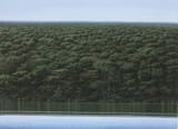 tomas_sanchez_-_retorno_a_la_orilla__2005
