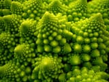 Green-image-green-36661177-2500-1875
