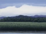 tomas_sanchez_-_paisaje_con_nube_baja__1988