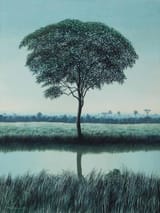 tomas_sanchez_-_personaje_vegetal_de_cualquier_dia__1986