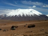 Juriques Chile