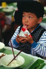 Tetra Classic Milk Japan