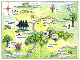 Winnie the Pooh 100 Acre Wood