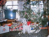 Christmas, 1958