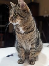 rupert2