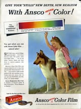 Ansco Color Film Ad 1950