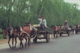 carts