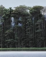 tomas_sanchez_-_buscador_de_un_lugar_a_la_orilla__1995