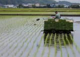 Stylish asian man&#039;s hi-tech farming