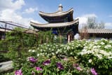 garden in qinghai