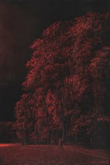 tomas_sanchez_-_caminante__1998
