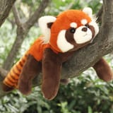 redpanda