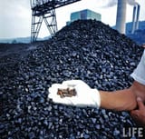coal vs fuel