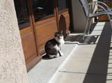 IMG_20250405_125727