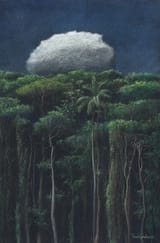 tomas_sanchez_-_paisaje_nocturno__1995