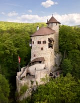 Burg_Reichenstein_bei_Arlesheim_-_0112