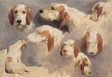 Sept_études_de_têtes_de_chiens_-_Rosa_Bonheur_-_MO_RF_1307