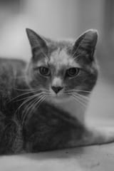 DSC00022