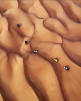 45541351