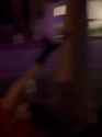 786222_thumb.jpg