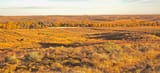 MattVincenteGrasslands2