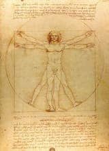 Da_Vinci_Vitruve_Luc_Viatour_(cropped)