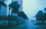 monsoon