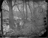 1860 Wilderness, near Chancellorsville, Va, ca. 1860 - ca. 1865