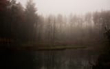 misty-lake