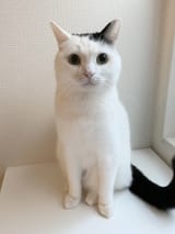 @takeru0321neko_1744853365853688121_20240109-224714