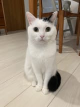 @takeru0321neko_1748857024534978941_20240120-235621