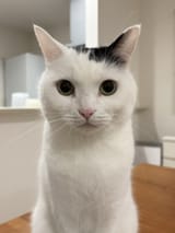 @takeru0321neko_1865348575045259302_20241207-105211