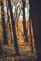 DSC00095