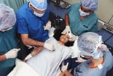 going under surgery