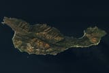 santacruz_oli_20250318_lrg