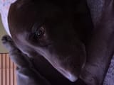 Tanner 02