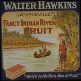 Fancy Indian River