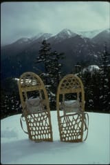Snow Shoes