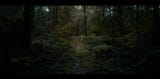 Trees2b
