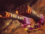 dune ship