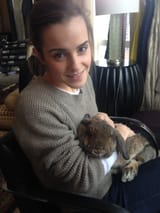 EmmaWatsonLeaked112caae0