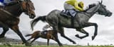 horse race