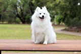 DgrLWL5XUAIQBK5.jpg_large
