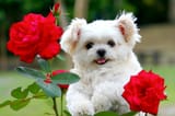 a3d516a78bbe12cdd0324570d46faa2b